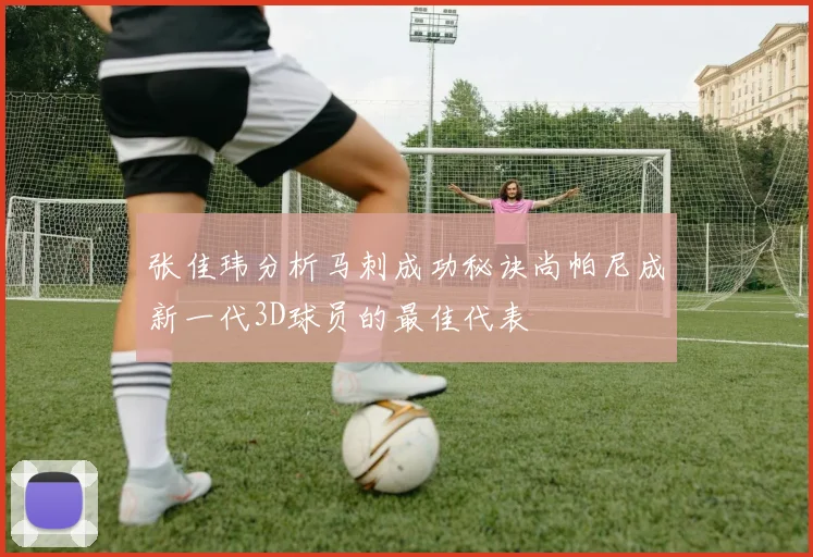 张佳玮分析马刺成功秘诀尚帕尼成新一代3D球员的最佳代表