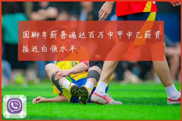 国脚年薪普遍达百万中甲中乙薪资接近白领水平
