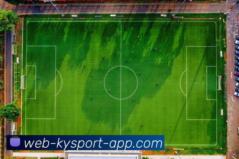 开云体育平台生态图